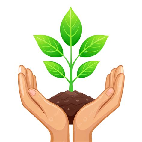 Nurturing Growth Agriculture, Plant Growth, Hand, Environmental Care
