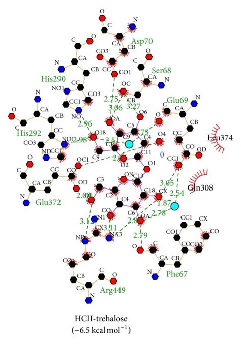 Ligplot Analysis Of Binding Of Trehalose And Trehalose Octasulfate To