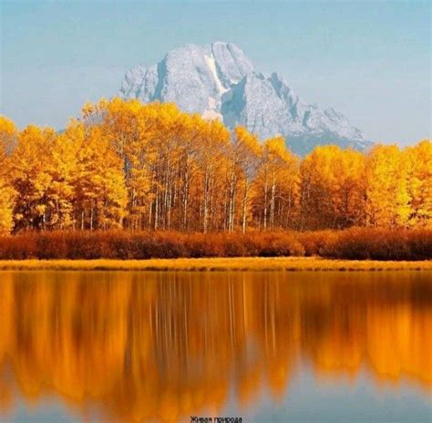 The Mountains Are Reflected In The Water Near Trees With Yellow And