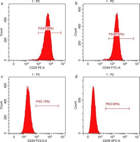 The Flow Cytometric Analysis A Cell Surface Specific Antigen Of Stem