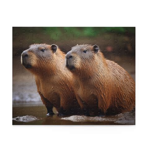 Capybara Jigsaw Puzzle 120 252 500 Piece Etsy