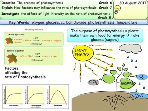 New Aqa Gcse Trilogybiology Photosynthesis Required Practical