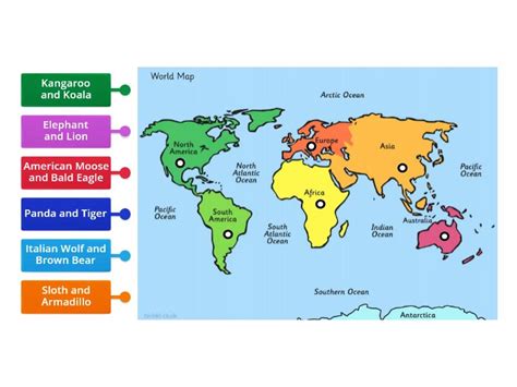 Animals and their continents - Labelled diagram