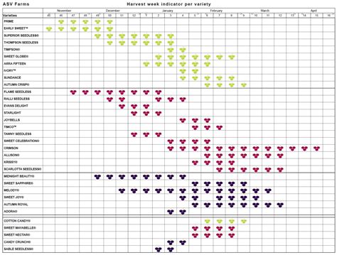 Grape Varieties Asv Farms