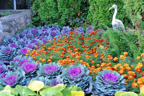 Сад (garden). Осень в Челябинске, Россия (Russia, autumn in the city of ...