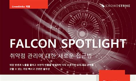 FALCON SPOTLIGHT - crowdstrike.com