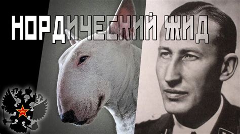 НОРДИЧЕСКИЙ ЖИД - Фридрих Вольтман - YouTube