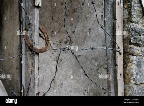 Abandoned cottage in County Cork, Ireland Stock Photo - Alamy