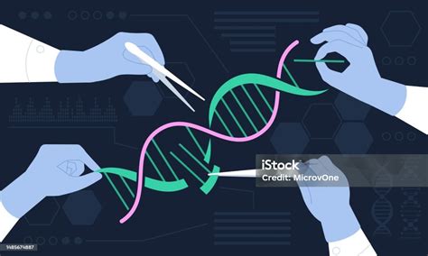 O Que Engenharia Genetica - Vetores de Conceito De Engenharia Genética Edição De Genética Do Bebê ...