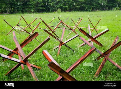 Czech hedgehog hi-res stock photography and images - Alamy