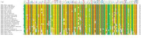 Figure 1 From Sequence Analysis Msa An R Package For Multiple