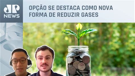 Entenda O Que E Como Funciona O Mercado De Carbono Youtube Terra