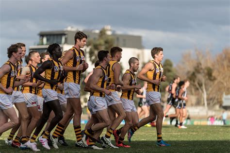 Round 9 Preview City Oval Blockbuster Box Hill Hawks