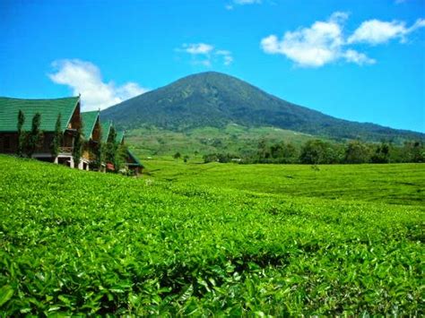 Ninoroesad Pagar Alam Wisata Di Gunung Dempo