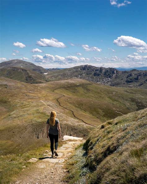 Hiking The Spectacular Main Range Track To The Summit Of Mount