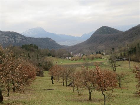 La Truffe Du Bugey Une Saveur De L Ain Et Un Mets D Exception La