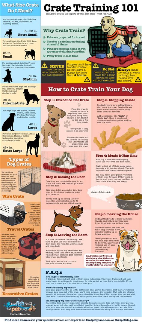 Crate Training 101 (infographic)