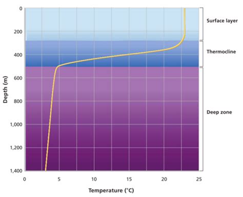 Desert Reflections: Thermocline