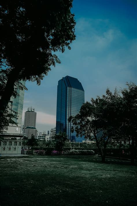 A Tall Building Sitting Next To A Lush Green Park Photo Free Building