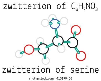 C H No Zwitterion Aspartic Acid Amino Acid Stock Vector Royalty Free