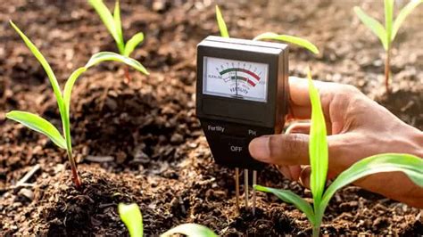 How To Lower PH In Soil Lawn Au