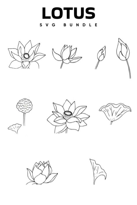 Lotus SVG Bundle MasterBundles