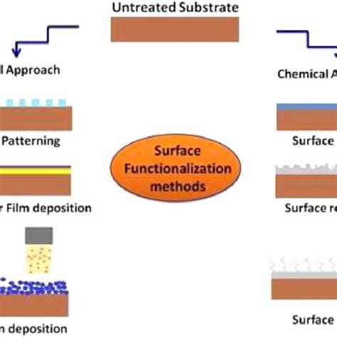 Schematic Diagram For Various Surface Functionalization Techniques