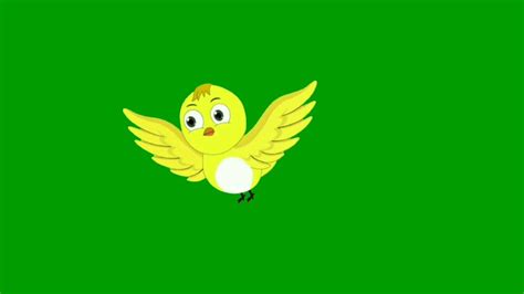 Tuni Chidiya Tun Tuni Cartoon Character Green Screen Bird Flying Bird