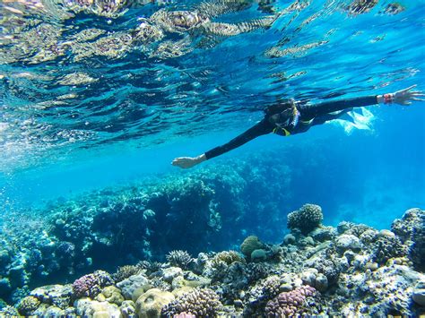 So Schön Ist Schnorcheln Im Roten Meer Urlaubsguru De