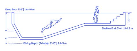 Swimming Pool - Lap Dimensions & Drawings | Dimensions.com