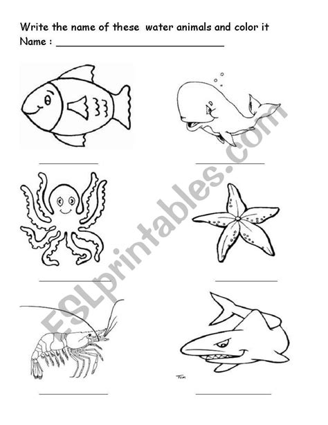 Name And Color Aquatic Animals Esl Worksheet By Bivhu