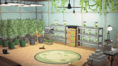 Grow Room In The Basement Ranimalcrossing