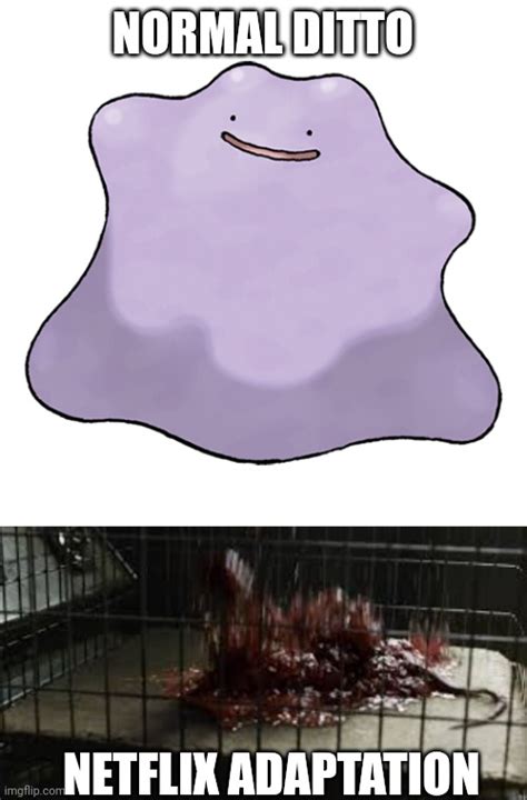 Ditto Memes And S Imgflip