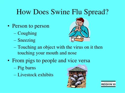 Ppt How To Combat Swine Flu Powerpoint Presentation Free Download