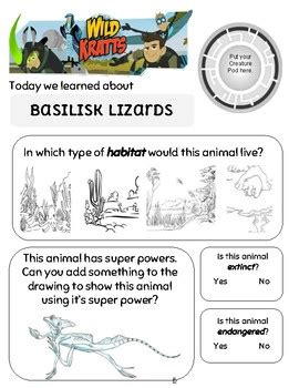 Walk on the Wet Side Wild Kratts Basilisk Lizard by BKS Prep Resources