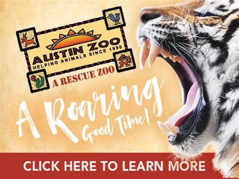 Austin Zoo | Austin, TX