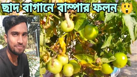 ছাদ বাগান চলুন দেখে নেই অসাধারণ ছাদ বাগান Rooftopgarden ছাদকৃষি