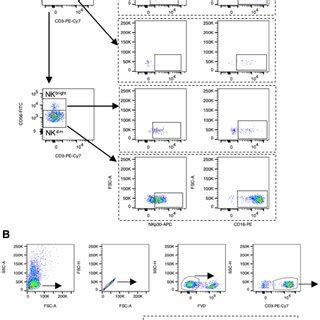 T Cell Profiling Pre And Post IBT Analysis Of A CD3 T Cells Of