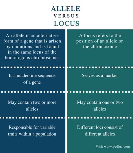 Difference Between Allele and Locus | Definition, Characteristics, Role