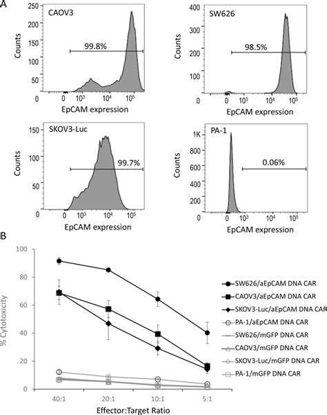 Human Ovarian Cancer Cell Line Skov Luciferase Perkinelmer Bioz