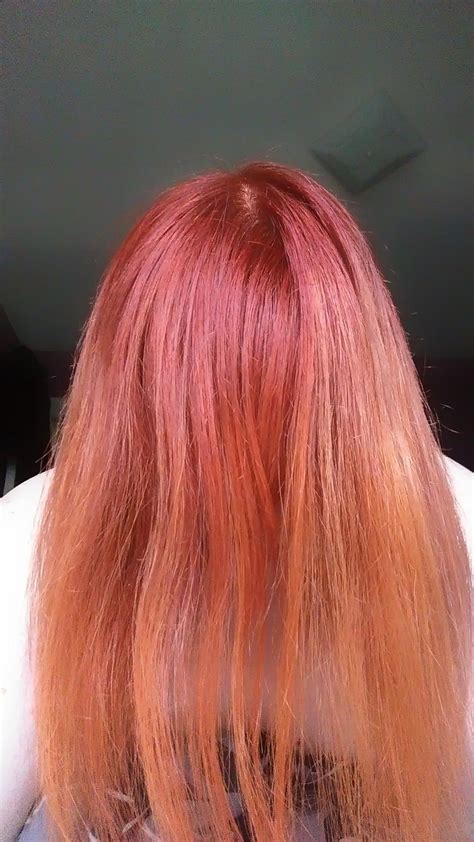 Mo Finance Schwarzkopf Igora Royal Colorist S Color Creme Tube Dark Blonde Forte Buy