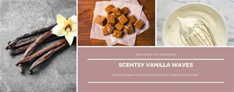 Vanilla Waves Scentsy Fragrance