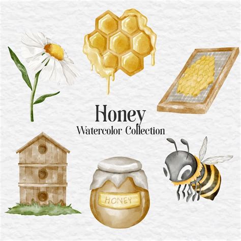 Aquarell Honig Und Bienenelement Sammlung Set Clipart Premium Vektor