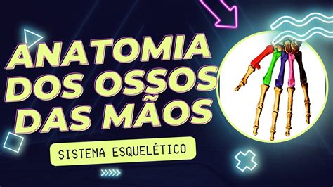 Aula Anatomia Dos Ossos Das M Os Youtube