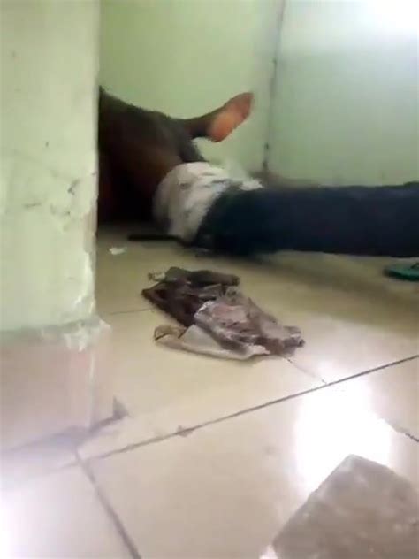 Oral Gay Hobo Homeless Dudes Fucking ThisVid