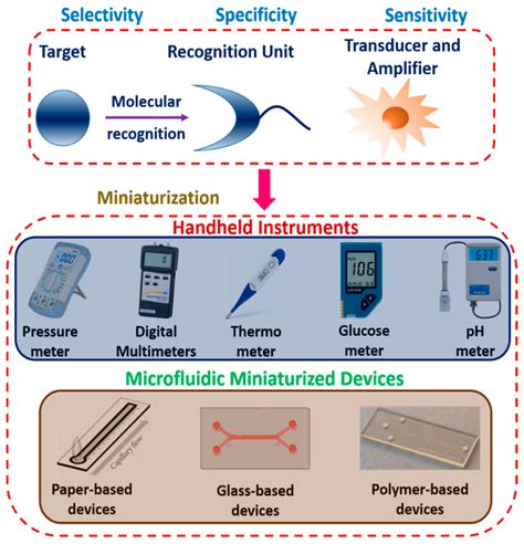 Biosensors Free Full Text Biosensors And Microfluidic Biosensors