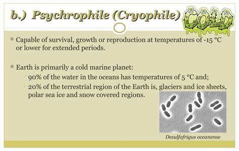 Extremophiles | PPT