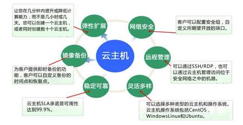 云主机有哪些系统？全面解析云主机常见操作系统 世外云文章资讯