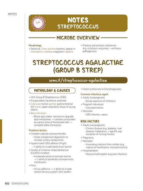 Streptococcus Agalactiae Group B Strep Notes Pdf Streptococcus