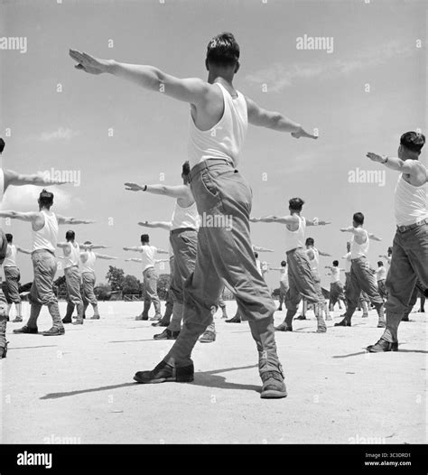 Calisthenics Gameplay Vintage